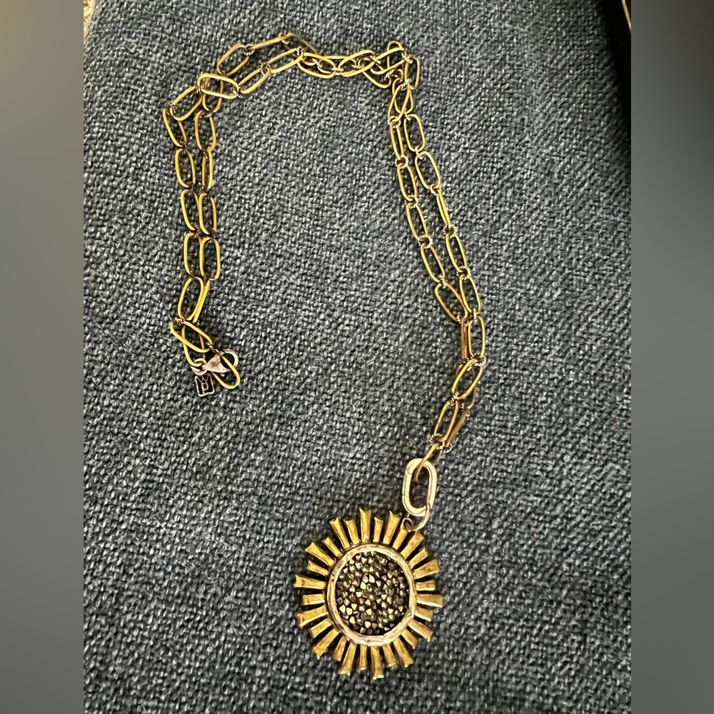 Waxing poetic be the light medallion with 2 tone chain